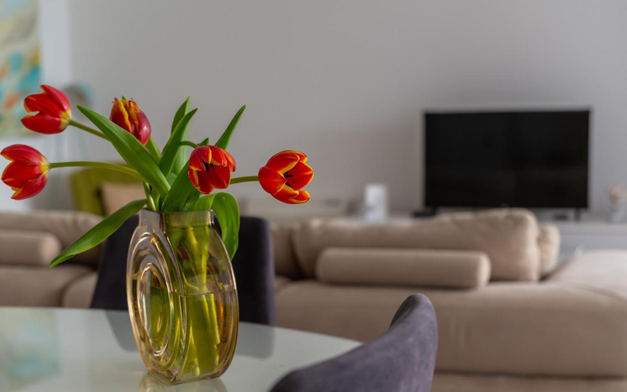 Apartment Amare Luxury *